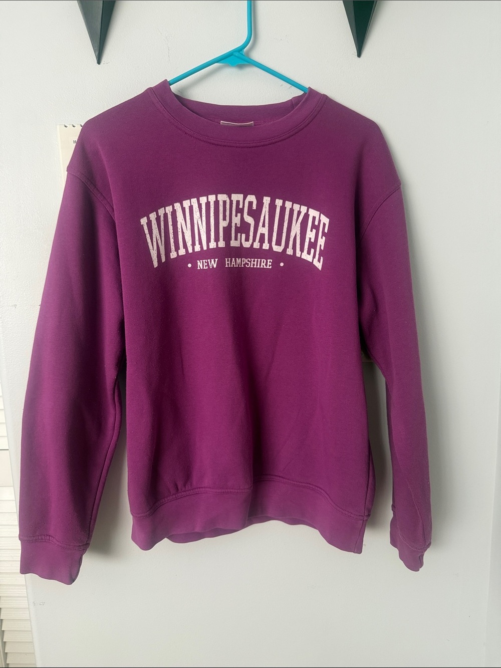 Winnipe­saukee New Hampshire Purple Crewneck Sweatshirt